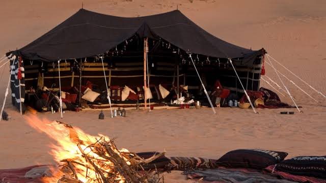 Bedouin Society: Tradition and Culture