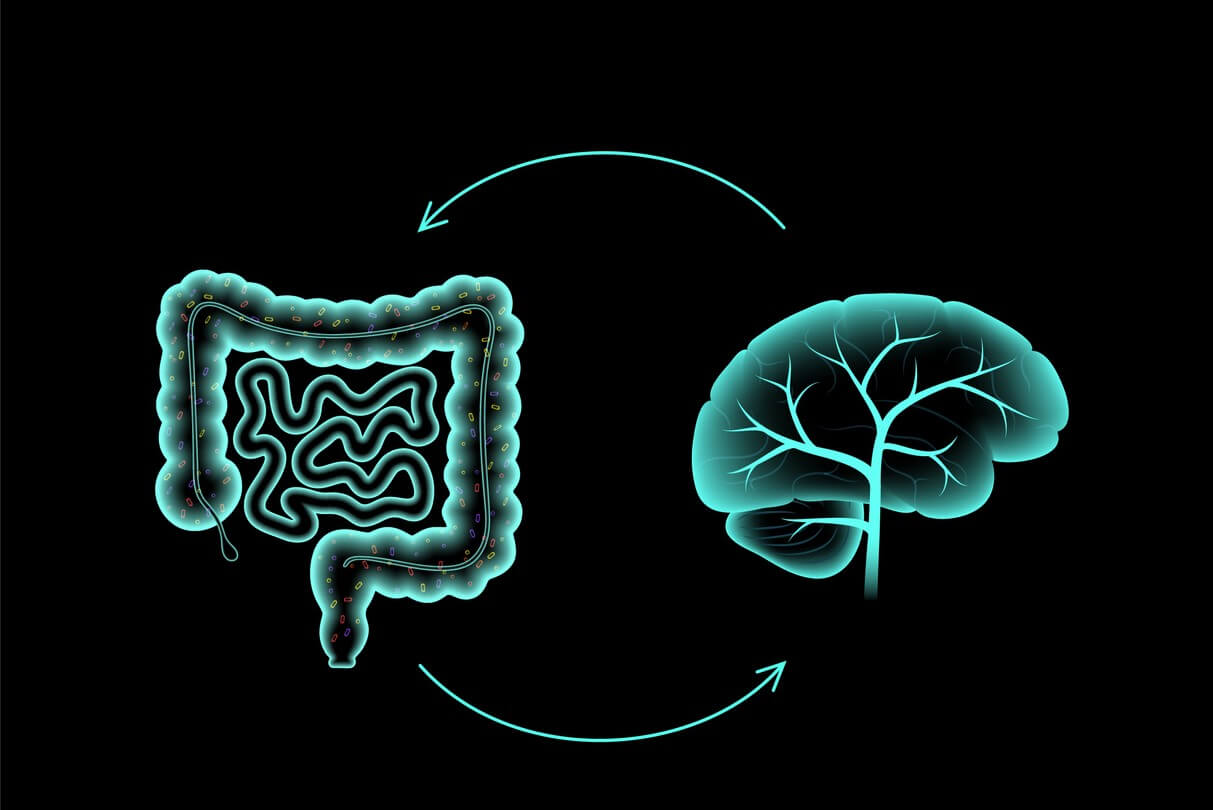 Gut-Brain Connection and Mental Health