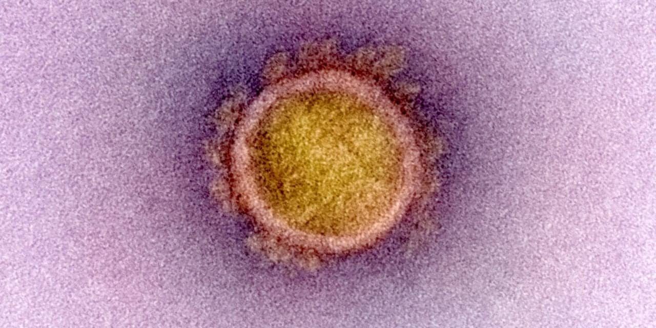 Emerging SARS-CoV-2 Variants and Public Health Impact