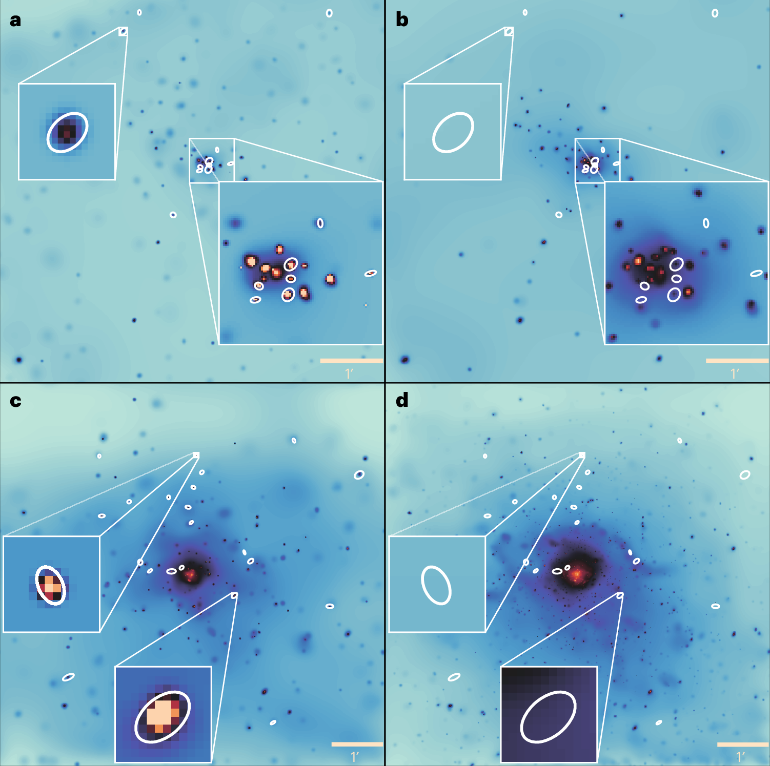 Hypersoft X-ray Sources Reveal Hidden Stellar Mysteries